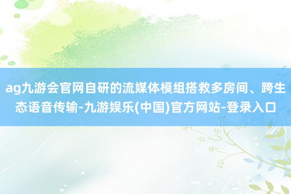 ag九游会官网自研的流媒体模组搭救多房间、跨生态语音传输-九