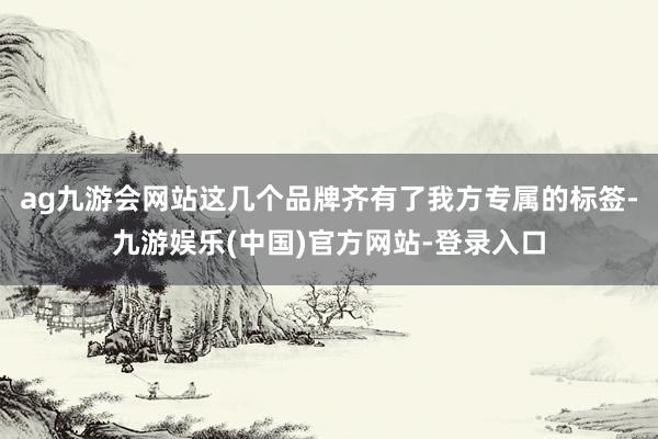 ag九游会网站这几个品牌齐有了我方专属的标签-九游娱乐(中国