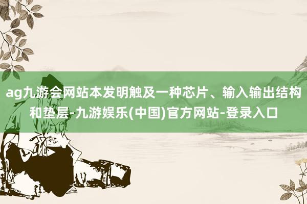 ag九游会网站本发明触及一种芯片、输入输出结构和垫层-九游娱乐(中国)官方网站-登录入口