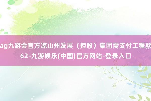ag九游会官方凉山州发展（控股）集团需支付工程款62-九游娱