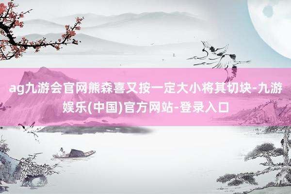 ag九游会官网熊森喜又按一定大小将其切块-九游娱乐(中国)官