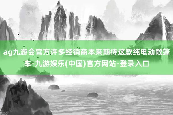 ag九游会官方许多经销商本来期待这款纯电动敞篷车-九游娱乐(