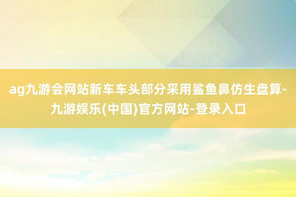 ag九游会网站新车车头部分采用鲨鱼鼻仿生盘算-九游娱乐(中国)官方网站-登录入口