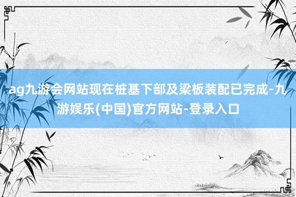 ag九游会网站现在桩基下部及梁板装配已完成-九游娱乐(中国)官方网站-登录入口