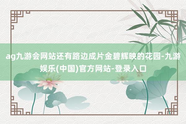 ag九游会网站还有路边成片金碧辉映的花园-九游娱乐(中国)官