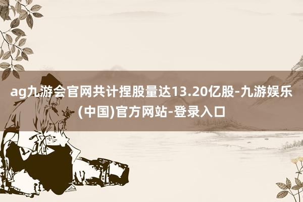 ag九游会官网共计捏股量达13.20亿股-九游娱乐(中国)官